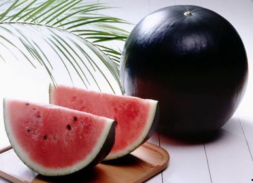 谁有黑料吃瓜网,谁有黑料，吃瓜网带你一探究竟