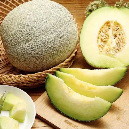 牛三网纹蜜瓜适合多放几天再吃吗,最佳食用时间与保存技巧揭秘