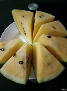 晋江吃瓜论坛官网,揭秘娱乐圈幕后故事，带你领略网络论坛魅力