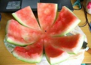 116吃瓜网,揭秘娱乐圈最新热点，带你畅游八卦海洋