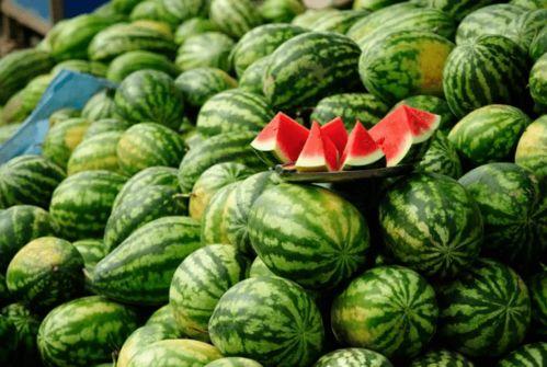 有哪些吃瓜的网红,盘点那些吃瓜群众的网红风采