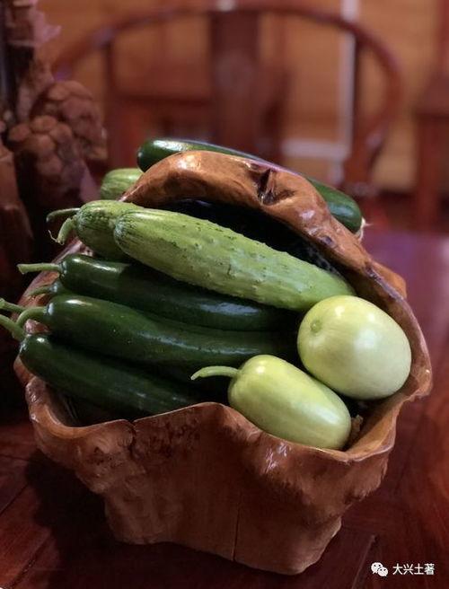 网红爆料吃瓜苏州姑苏区,苏州姑苏区吃瓜大揭秘！