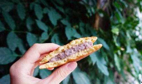 康县网红二饼事件吃瓜,揭秘网络红人背后的争议与真相