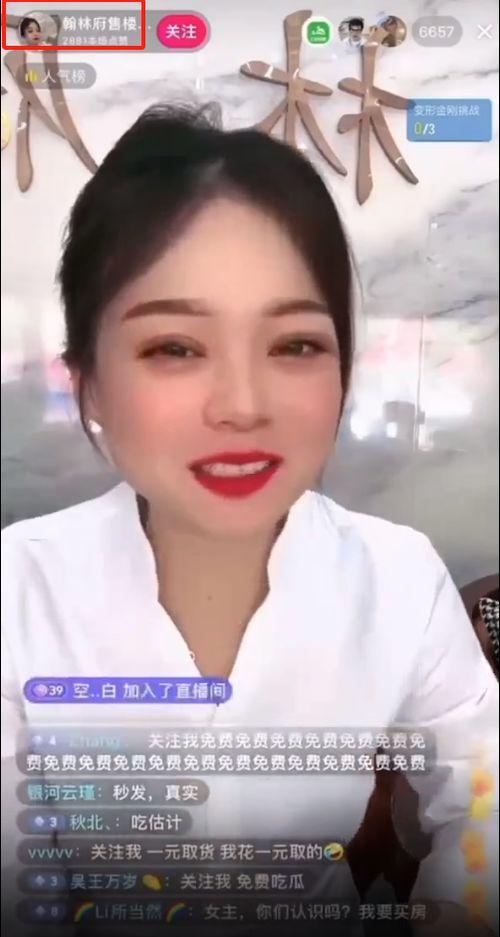 翰林府女销售吃瓜网,揭秘吃瓜网背后的故事