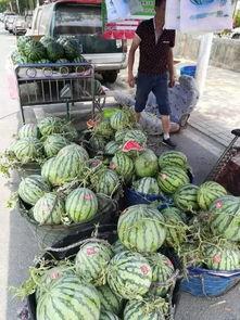 茅山网红吃瓜事件视频,揭秘背后真相与网络舆论风暴